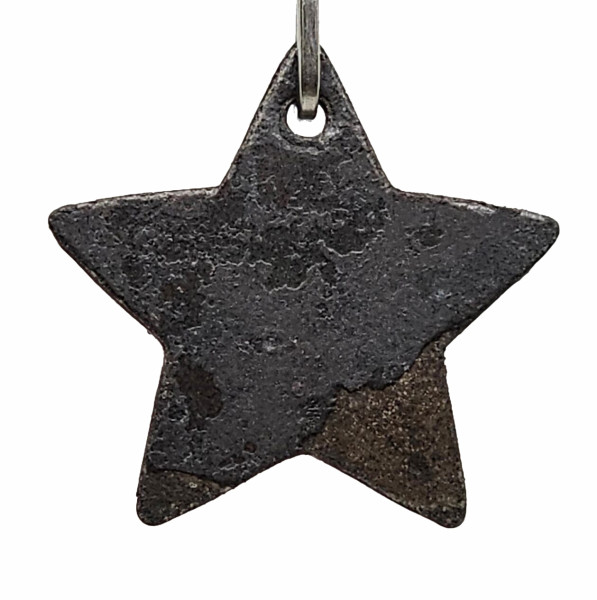 Letzter Begleiter - Anhänger Stern Stella - Edelstahl